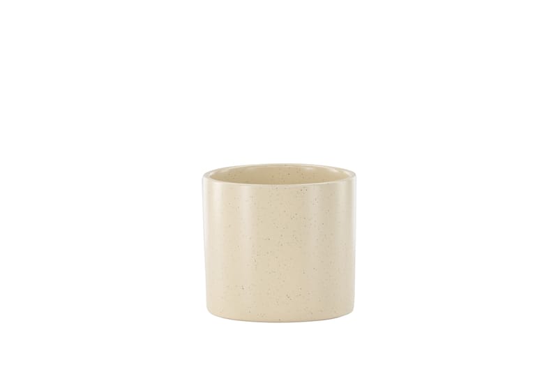 Sane Ruukku, Beige