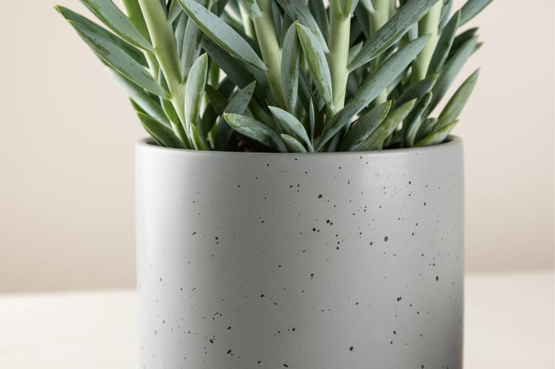 Sane Ruukku - Tummanharmaa - Sisustustuotteet - Ruukku & ulkoruukku