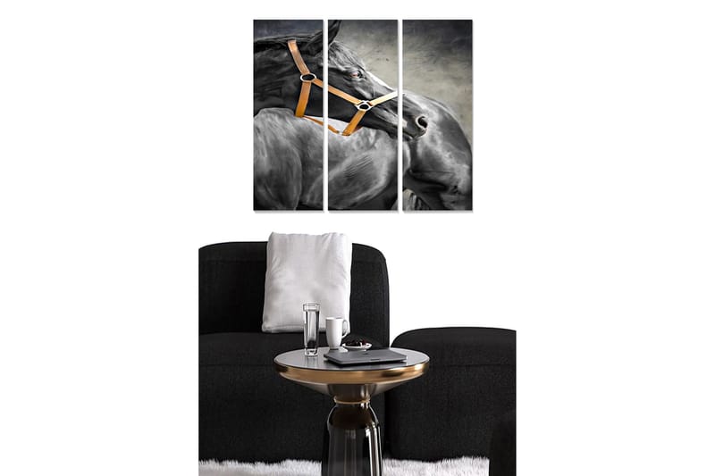 Canvastaulu Animal 3-pak Monivärinen, 20x50 cm