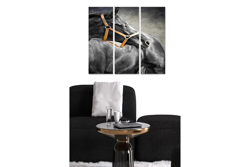 Canvastaulu Animal 3-pak Monivärinen, 20x50 cm