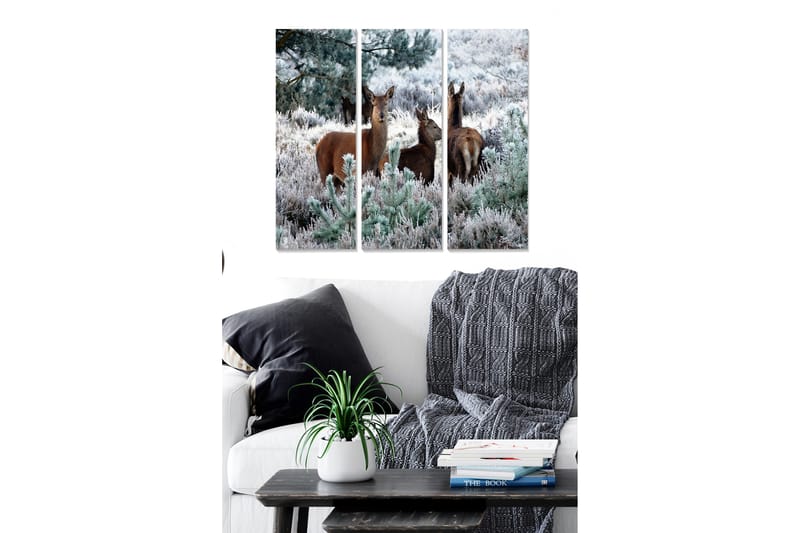 Canvastaulu Animal 3-pak Monivärinen - 20x50 cm - Sisustustuotteet - Seinäkoristeet