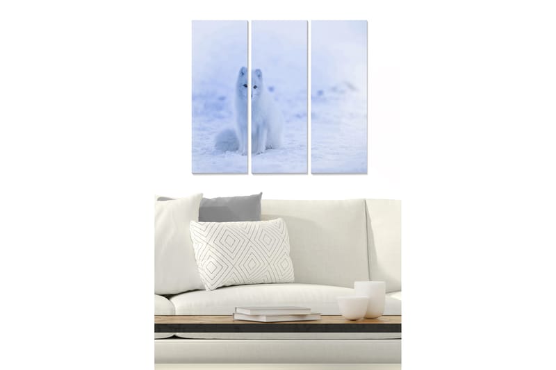 Canvastaulu Animal 3-pak Monivärinen - 20x50 cm - Sisustustuotteet - Seinäkoristeet