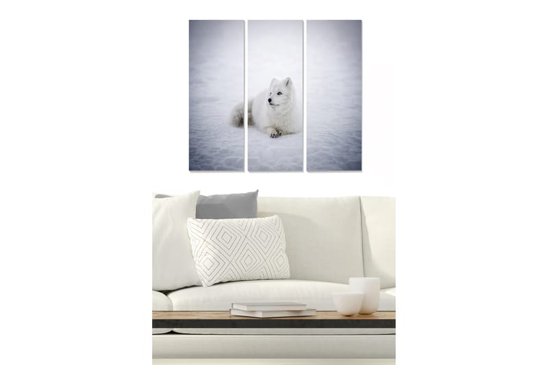 Canvastaulu Animal 3-pak Monivärinen - 20x50 cm - Sisustustuotteet - Seinäkoristeet