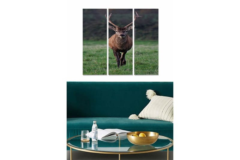 Canvastaulu Animal 3-pak Monivärinen - 20x50 cm - Sisustustuotteet - Seinäkoristeet