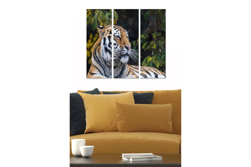 Canvastaulu Animal 3-pak Monivärinen - 20x50 cm - Sisustustuotteet - Seinäkoristeet