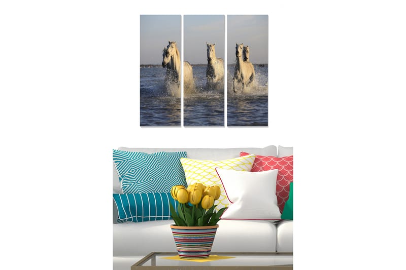 Canvastaulu Animal 3-pak Monivärinen - 20x50 cm - Sisustustuotteet - Seinäkoristeet