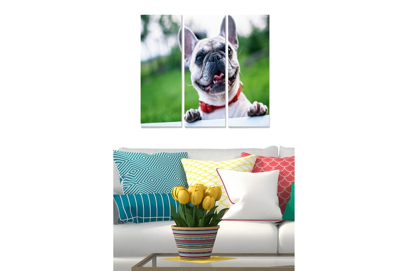 Canvastaulu Animal 3-pak Monivärinen - 20x50 cm - Sisustustuotteet - Seinäkoristeet