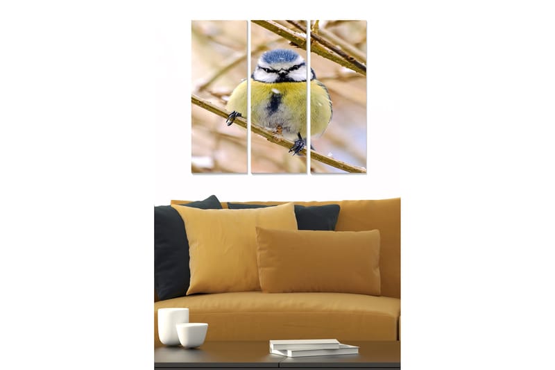 Canvastaulu Animal 3-pak Monivärinen, 20x50 cm