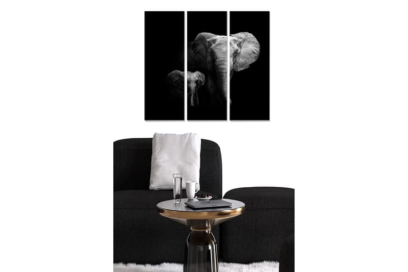 Canvastaulu Animal 3-pak Monivärinen, 20x50 cm