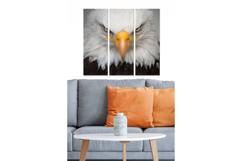 Canvastaulu Animal 3-pak Monivärinen, 20x50 cm