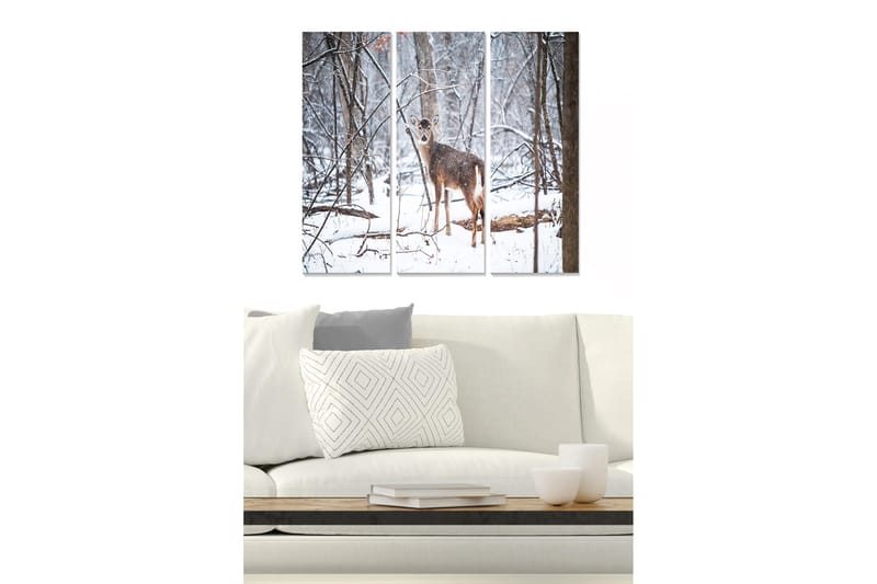 Canvastaulu Animal 3-pak Monivärinen, 20x50 cm