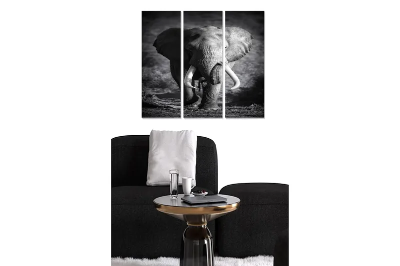 Canvastaulu Animal 3-pak Monivärinen, 20x50 cm