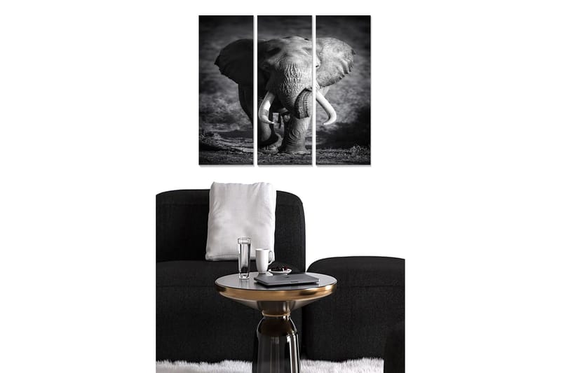 Canvastaulu Animal 3-pak Monivärinen, 20x50 cm