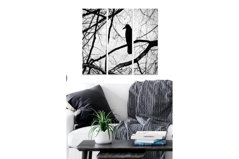 Canvastaulu Animal 3-pak Monivärinen, 20x50 cm