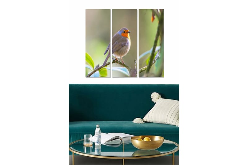 Canvastaulu Animal 3-pak Monivärinen, 20x50 cm