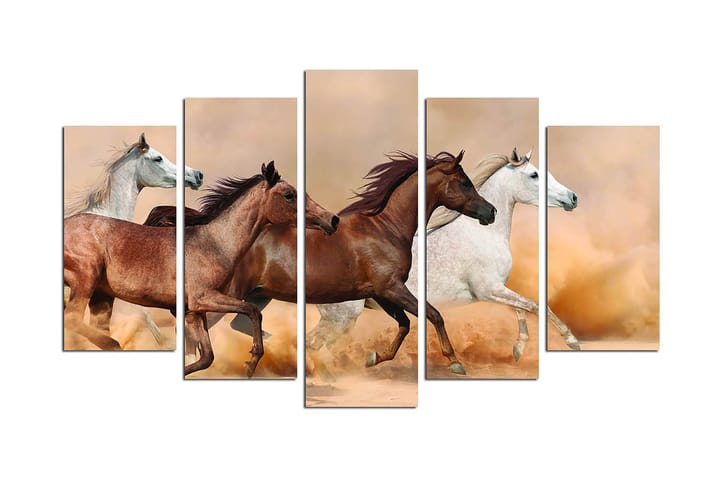 Canvastaulu Animals 5-pak Monivärinen - 20x60 cm - Canvas-taulu - Seinäkoristeet