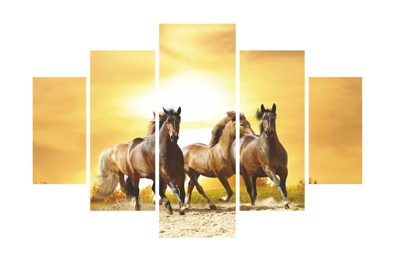Canvastaulu Animals 5-pak Monivärinen - 56x20 cm - Sisustustuotteet - Seinäkoristeet