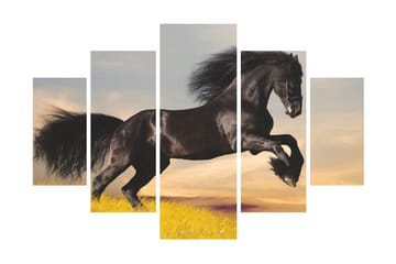 Canvastaulu Animals 5-pak Monivärinen - 56x20 cm - Sisustustuotteet - Seinäkoristeet