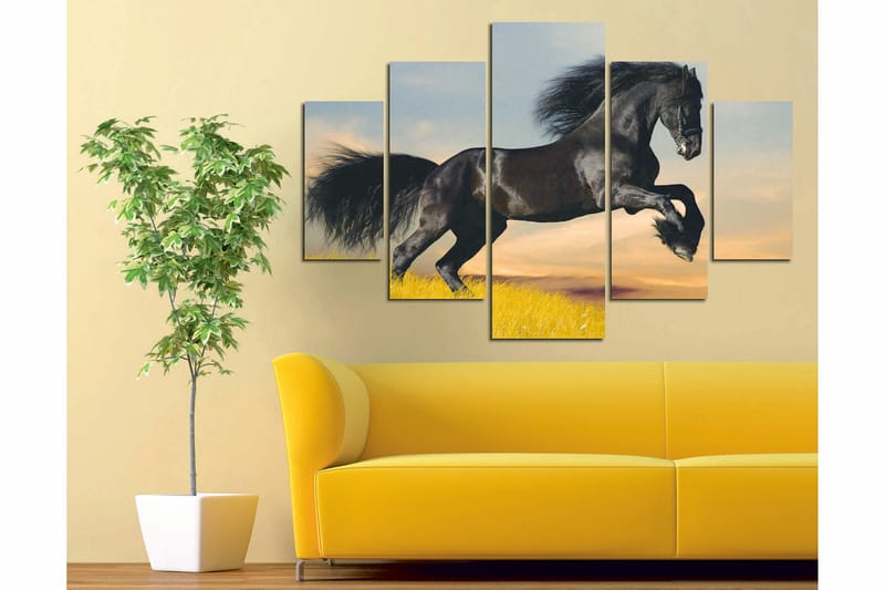 Canvastaulu Animals 5-pak Monivärinen - 56x20 cm - Sisustustuotteet - Seinäkoristeet