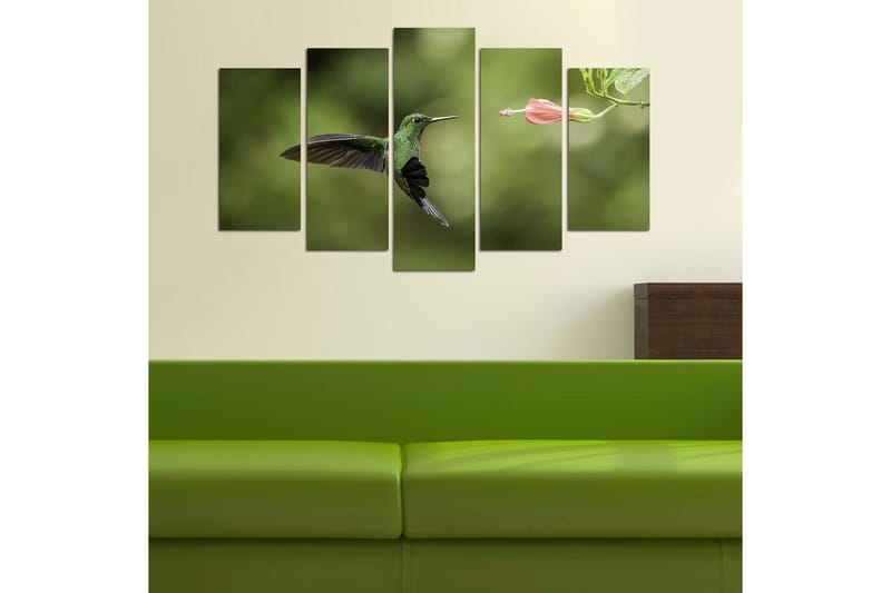 Canvastaulu Animals 5-pak Monivärinen - 20x60 cm - Sisustustuotteet - Seinäkoristeet