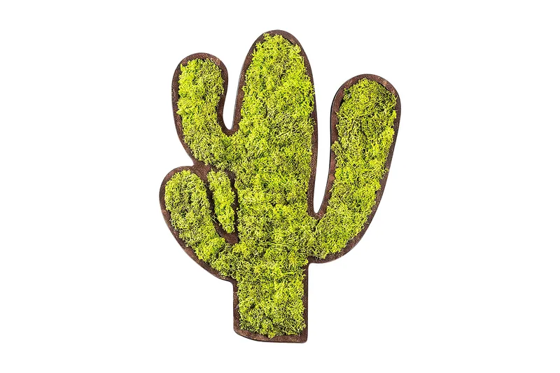 Canvastaulu Cactus, Vihreä/Valkoinen