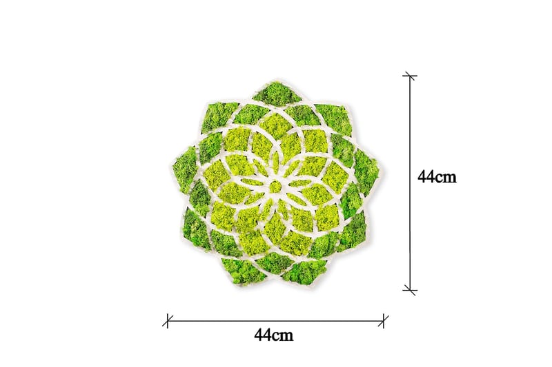 Canvastaulu Daisy - 44x44 cm - Sisustustuotteet - Seinäkoristeet