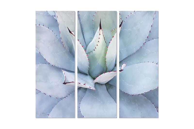 Canvastaulu Floral 3-pak Monivärinen, 20x50 cm