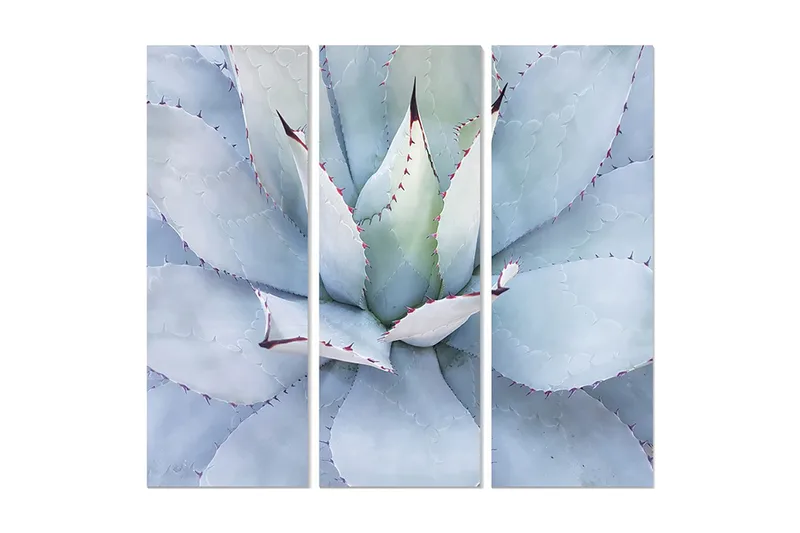 Canvastaulu Floral 3-pak Monivärinen, 20x50 cm