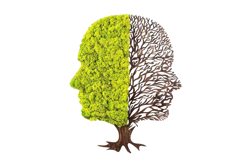 Canvastaulu Green And Dry, Vihreä/Ruskea