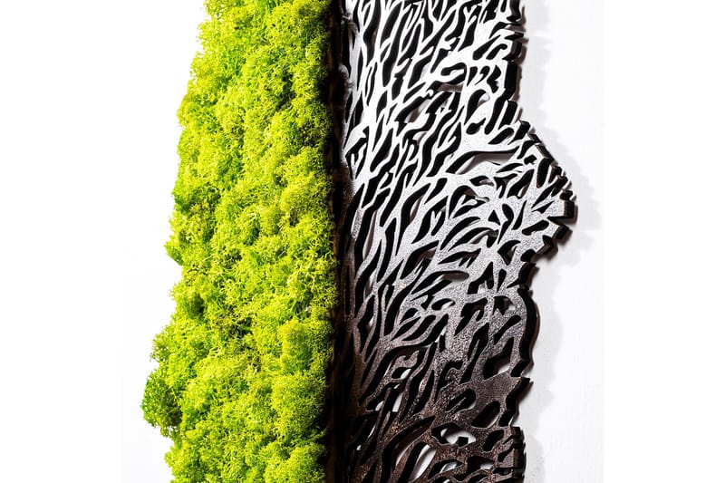 Canvastaulu Green And Dry - Vihreä/Ruskea - Sisustustuotteet - Seinäkoristeet