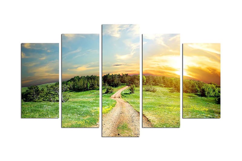 Canvastaulu Nature 5-pak Monivärinen - 20x60 cm - Sisustustuotteet - Seinäkoristeet