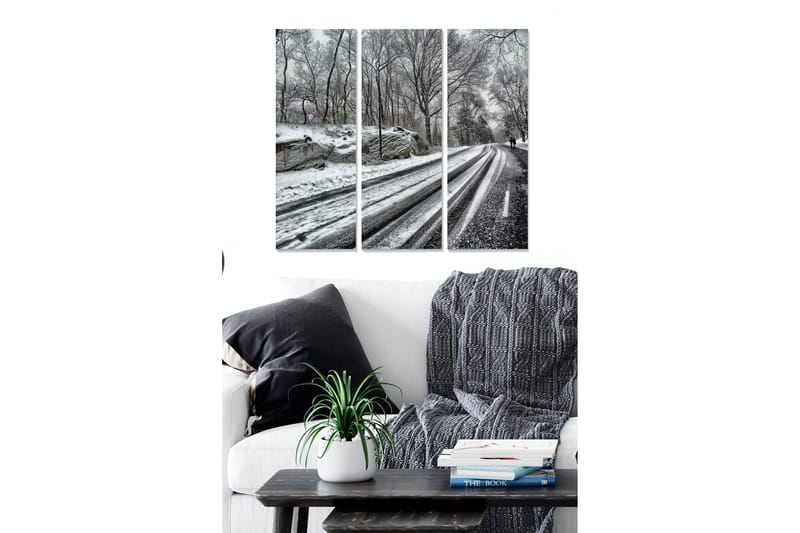 Canvastaulu Scenic 3-pak Monivärinen - 20x50 cm - Sisustustuotteet - Seinäkoristeet