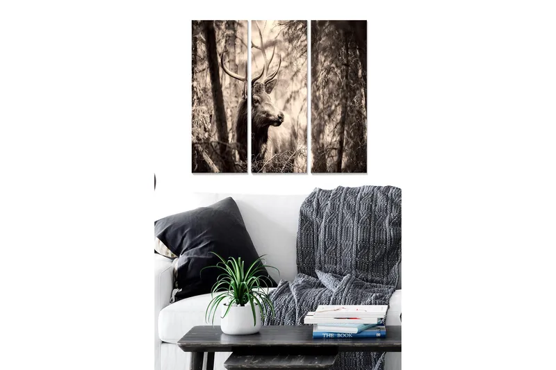 Canvastaulu Scenic 3-pak Monivärinen, 20x50 cm