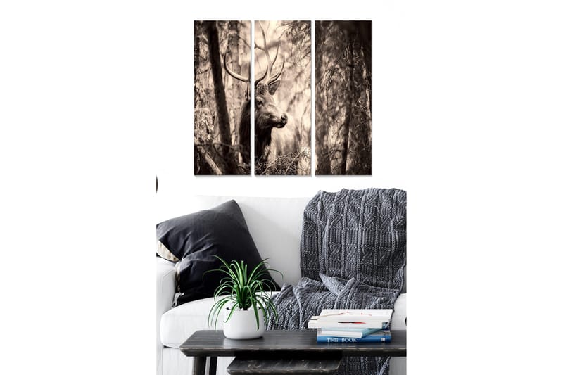 Canvastaulu Scenic 3-pak Monivärinen, 20x50 cm