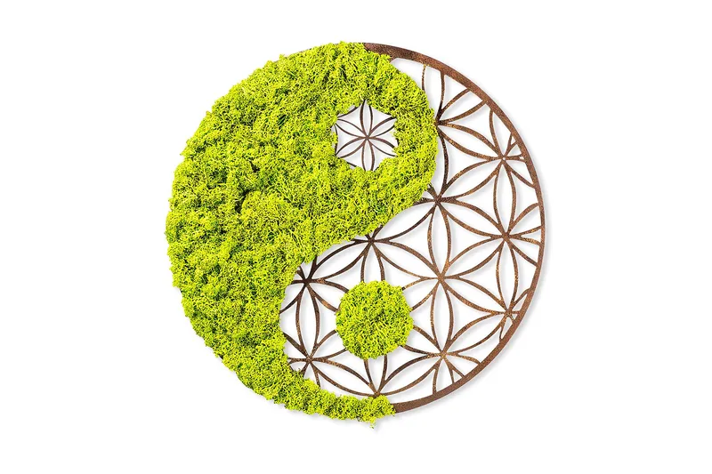 Canvastaulu Yin Yang, 44x44 cm