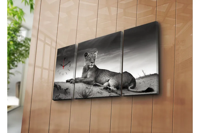 Koristeellinen Canvas Seinäkello (3 kpl), undefined