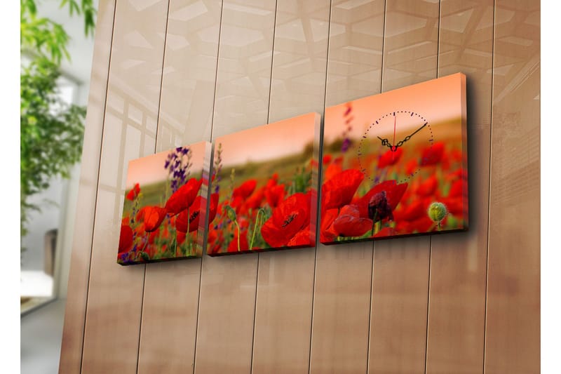 Koristeellinen Canvas Seinäkello (3 kpl), undefined