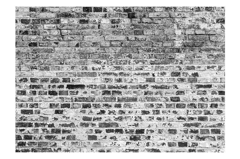 Valokuvatapetti Border Of Greynesses 350x245 - Artgeist sp. z o. o. - Sisustustuotteet - Seinäkoristeet - Tapetit - Valokuvatapetit