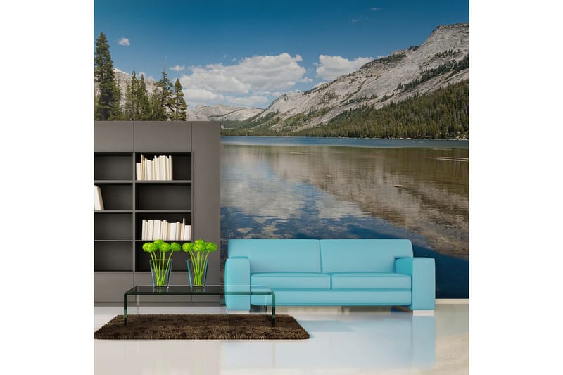 Seinämaalaus Tenaya Lake Yosemiten kansallispuisto 200x154 - Artgeist sp. z o. o. - Sisustustuotteet - Seinäkoristeet - Tapetit - Valokuvatapetit