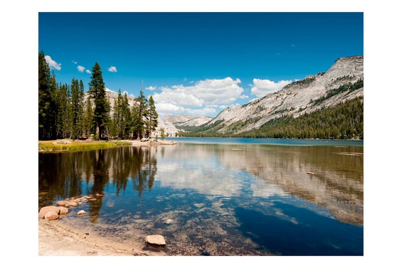 Seinämaalaus Tenaya Lake Yosemiten kansallispuisto 250x193 - Artgeist sp. z o. o. - Valokuvatapetit