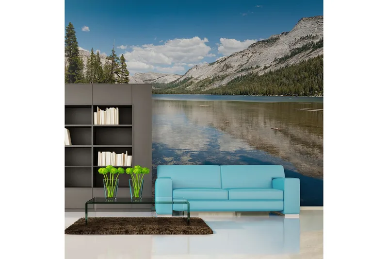 Seinämaalaus Tenaya Lake Yosemiten kansallispuisto 400x309, Artgeist sp. z o. o.