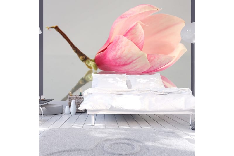 Valokuvatapetti A Lone Magnolia Flower 200x154, Artgeist sp. z o. o.