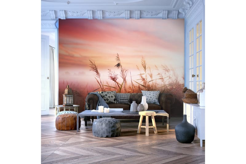 Valokuvatapetti Aamu niitty 300x231 - Artgeist sp. z o. o. - Sisustustuotteet - Seinäkoristeet - Tapetit - Valokuvatapetit