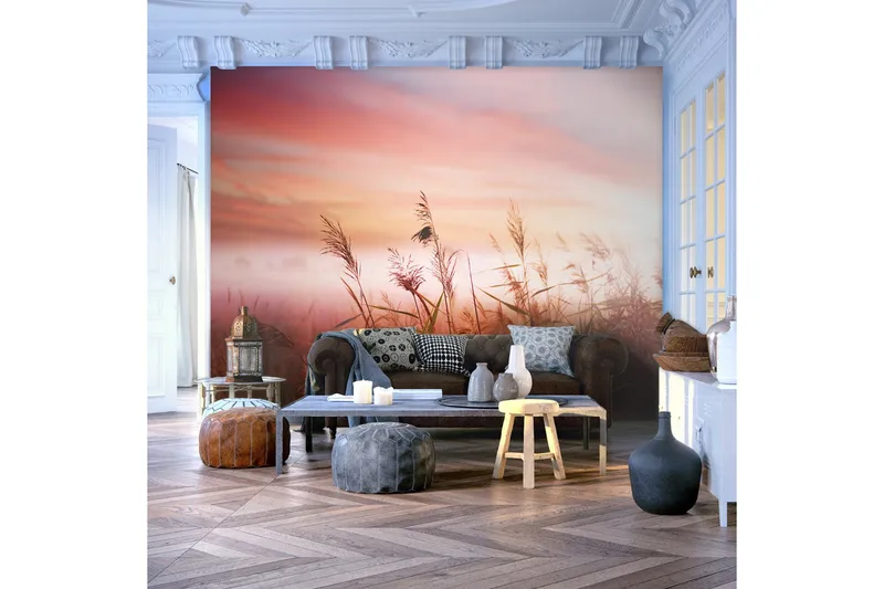 Valokuvatapetti Aamu niitty 400x309, Artgeist sp. z o. o.