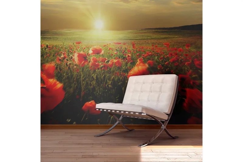 Valokuvatapetti Aamu unikkoniityllä 450x270, Artgeist sp. z o. o.