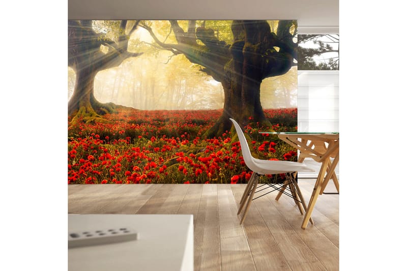 Valokuvatapetti Aamu Unikot 100x70, Artgeist sp. z o. o.