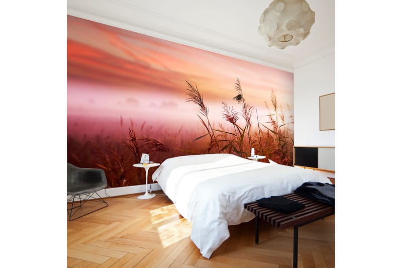 Valokuvatapetti Aamuniitty 450x270, Artgeist sp. z o. o.