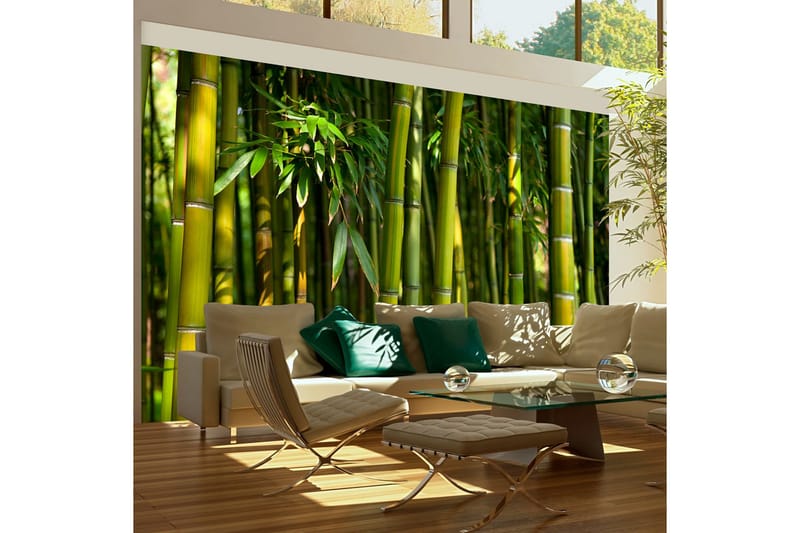 Valokuvatapetti Aasialainen bambumetsä 450x270, Artgeist sp. z o. o.