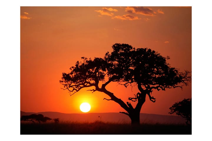 Valokuvatapetti Afrika Auringonlasku 300x231 - Artgeist sp. z o. o. - Valokuvatapetit