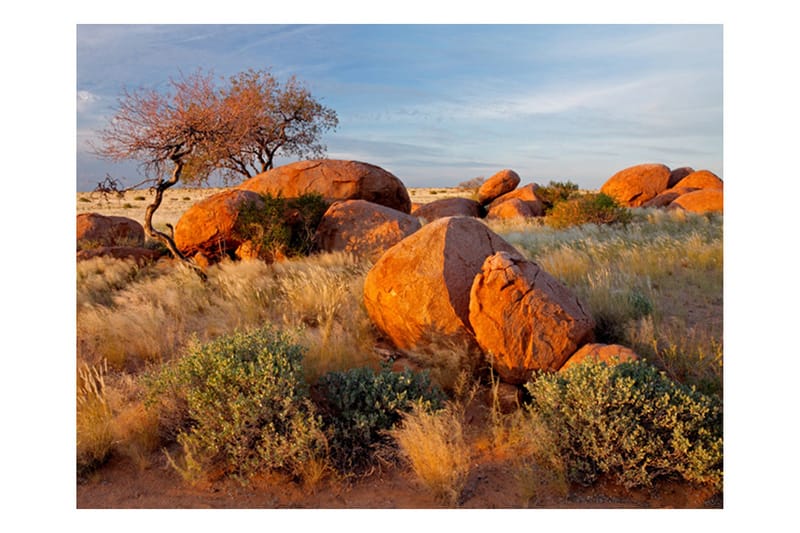 Valokuvatapetti Afrikkalainen maisema Namibia 200x154, Artgeist sp. z o. o.